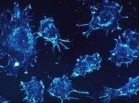 cancer-cells640